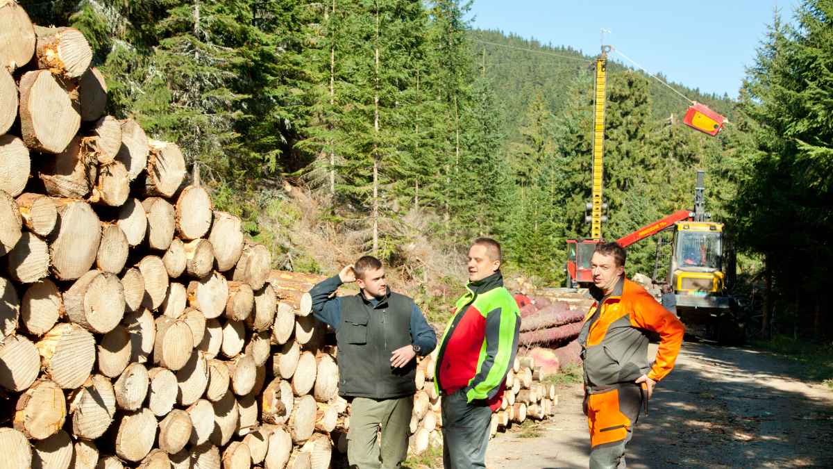 Trabajadores del sector forestal.