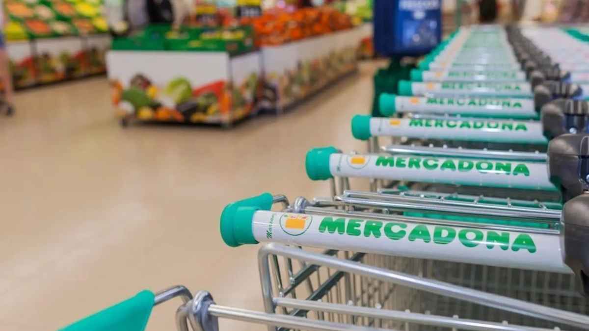 Carros de Mercadona alineados en tienda listos para el regreso del helado menta choco por 2 80 euros