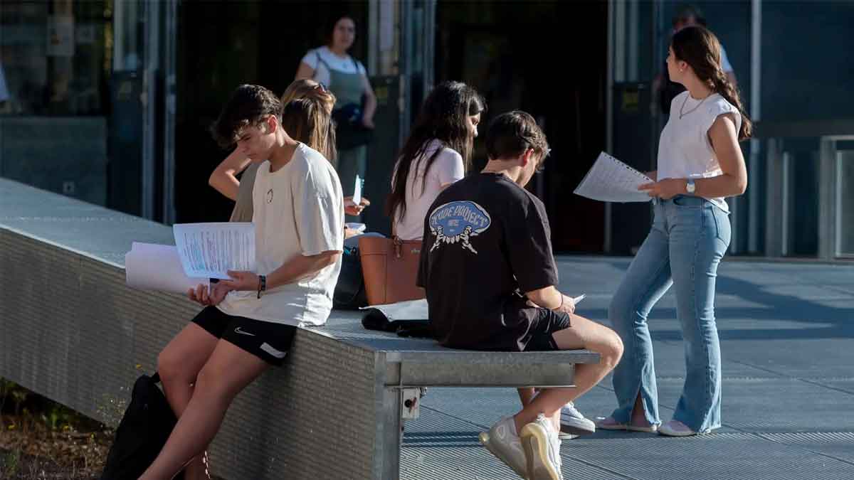 ni universitario ni bachillerato este nivel formativo mas requerido por empresas espanolas buscar trabajadores