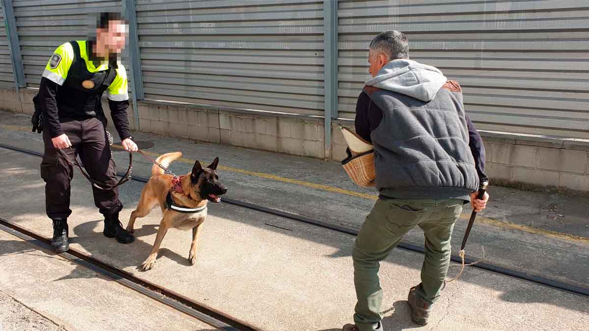 sepe lanza nuevos cursos gratuitos vigilante seguridad privada puesto trabajo asegurado acabar