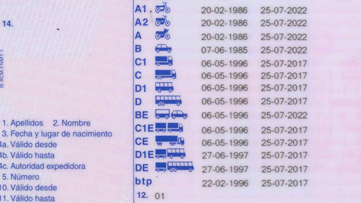 Carnet de conducir español mostrando permisos de conducir tipo C y D