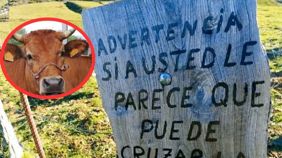 Cartel de advertencia en una finca de Somiedo que avisa “si usted cruza en ocho minutos, mi toro Brinco lo hace en cuatro”, con la imagen del toro asturiano enmarcada sobre el prado