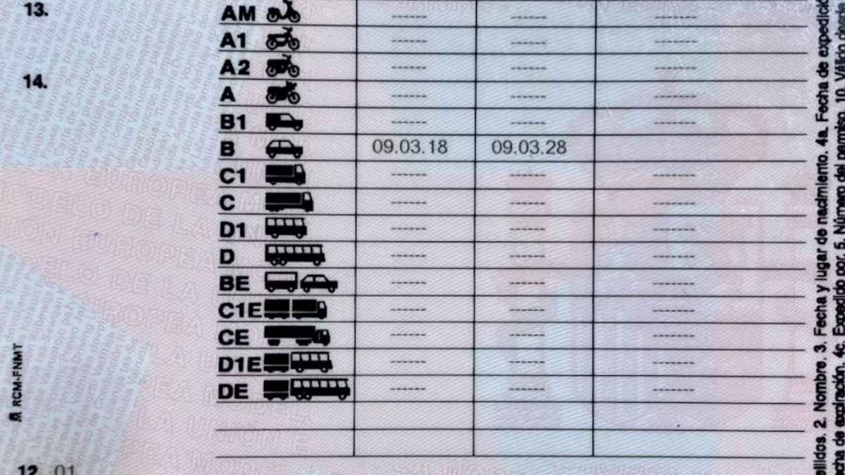 Categorías permiso de conducir DGT C y D