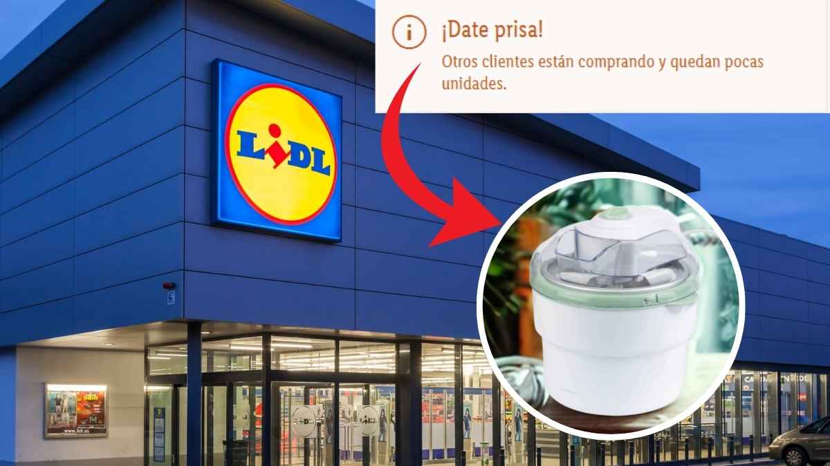 Heladera low cost de Lidl para helados cremoso en 40 min y los clientes hacen cola