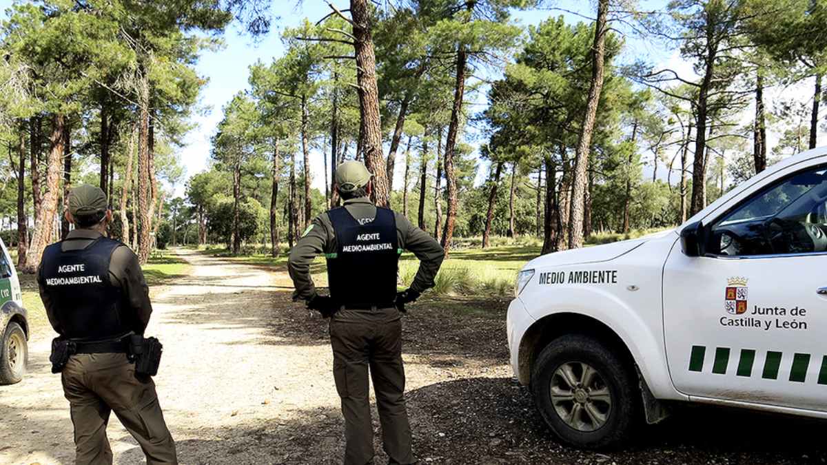 Agentes medioambientales controlan accesos a pistas forestales en Castilla y León para evitar circulación de vehículos los domingos
