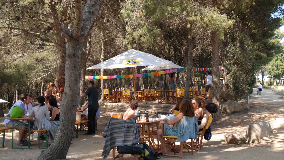Terraza escondida Montjuic con sardinas a la brasa y cerveza fría bajo pinos