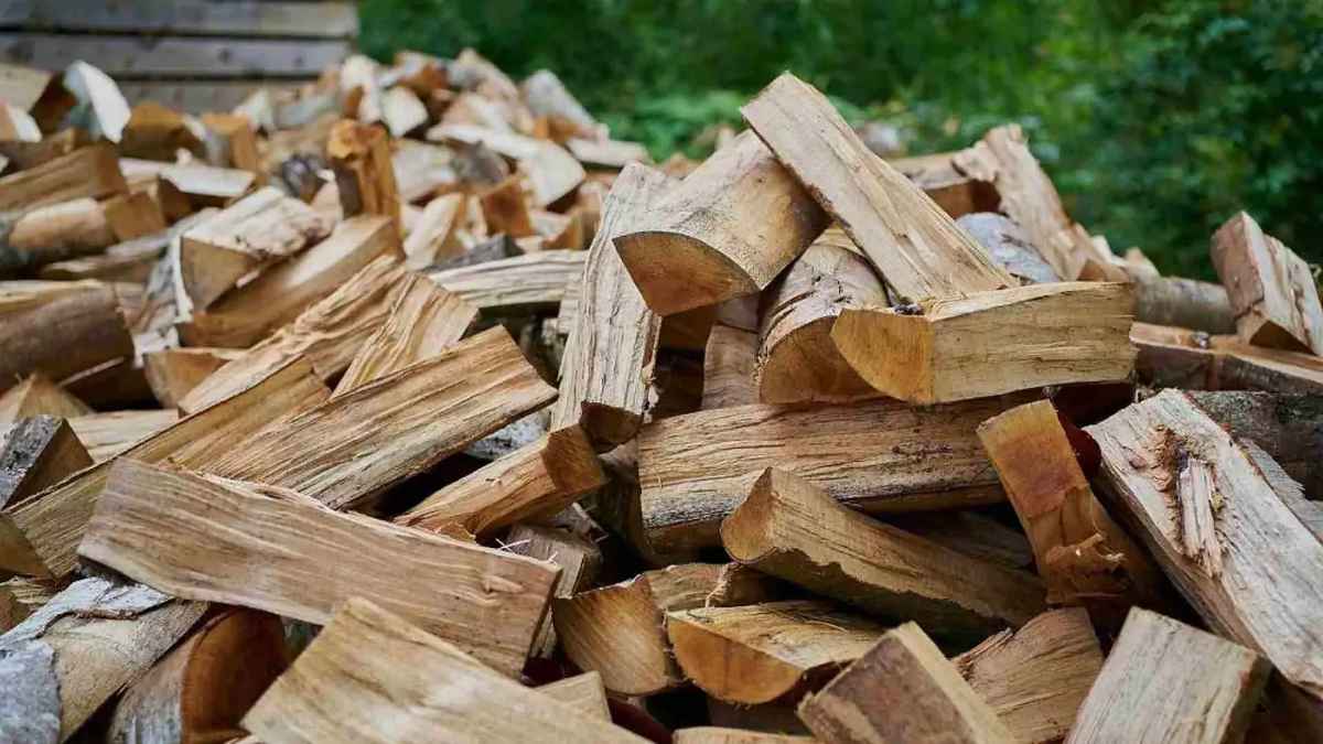Leña cortada para estufas vendida ilegalmente por agricultor en paro que cobraba ayudas sociales
