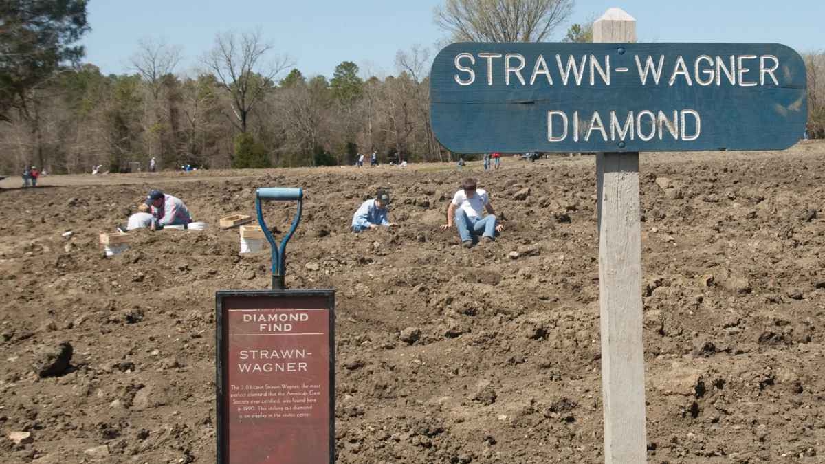 Visitantes buscan diamantes en la zona Strawn-Wagner del Crater of Diamonds State Park (Arkansas), donde se halló un diamante marrón de 7,46 quilates.