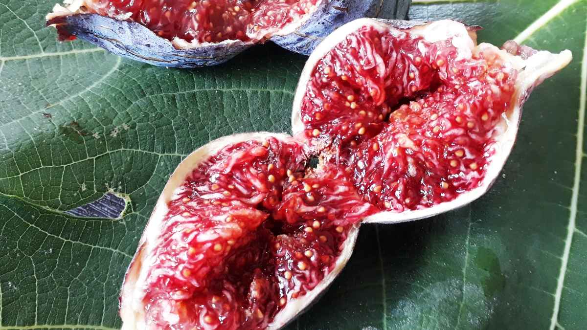 Interior de un higo mostrando ingrediente oculto que desconocías