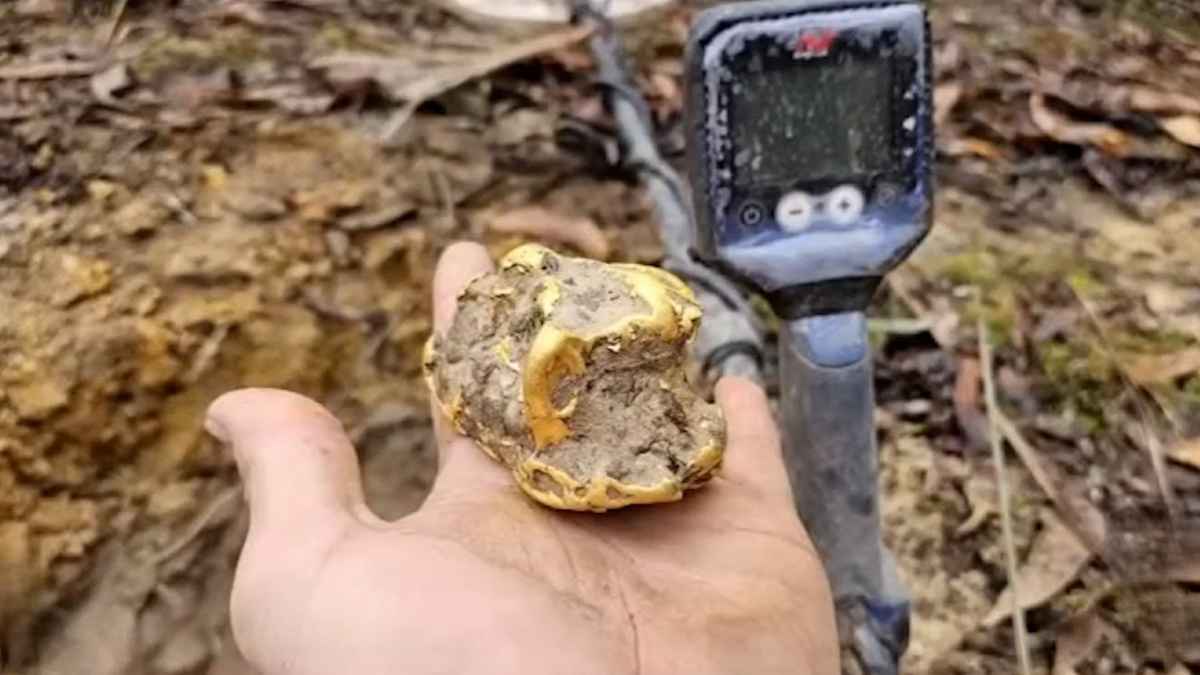 Jubilado de 67 años encuentra una gran pepita de oro con un detector en Inglaterra.