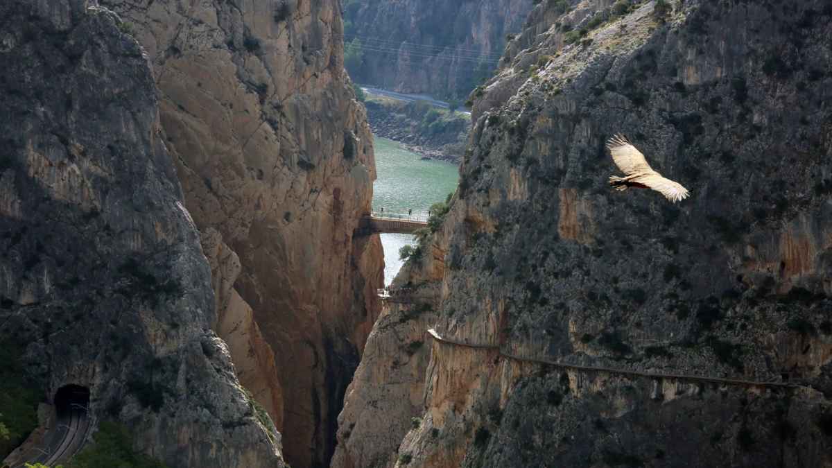 Vista del puente colgante en el Desfiladero de los Gaitanes, parte de la Gran Senda de Málaga, uno de los senderos más largos de España.
