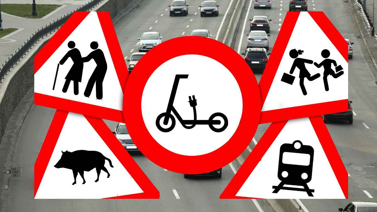 Nuevas señales de tráfico españolas desde julio de 2025: patinetes eléctricos, peatones, animales y personas mayores
