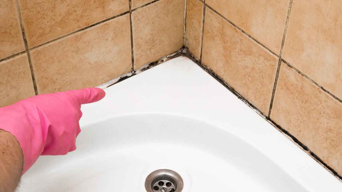 Mano con guante rosa señalando moho negro en silicona del baño