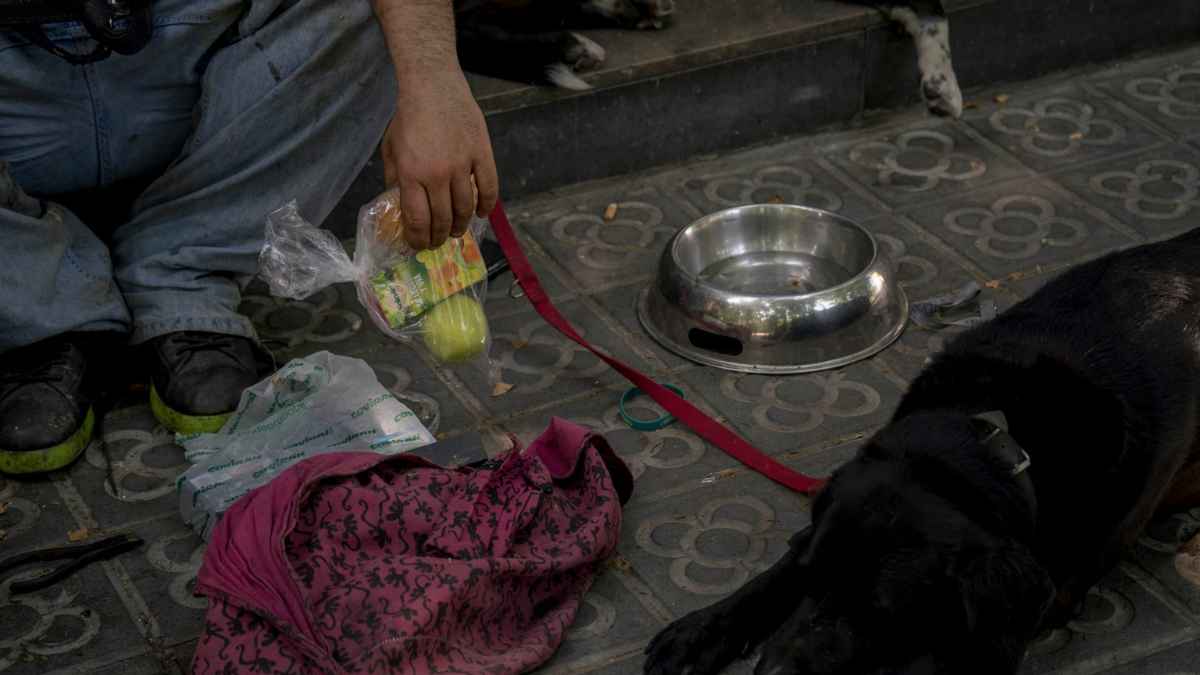 hombre sentado en la calle con comida sencilla y perro, vida austera para ahorrar y jubilarse anticipadamente