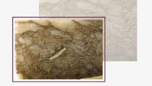 Contrato laboral más antiguo del mundo en tablilla sumeria hallada en Lagash, Irak, 2100 a.C.