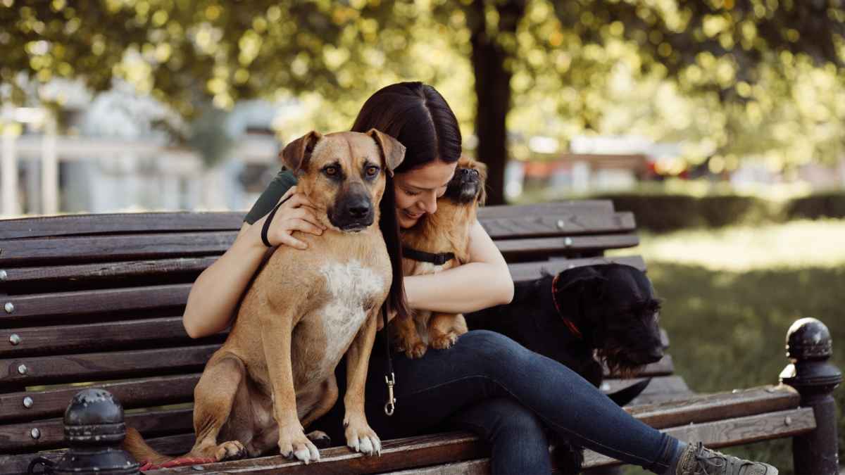 Persona disfrutando de su tiempo libre al aire libre con sus perros