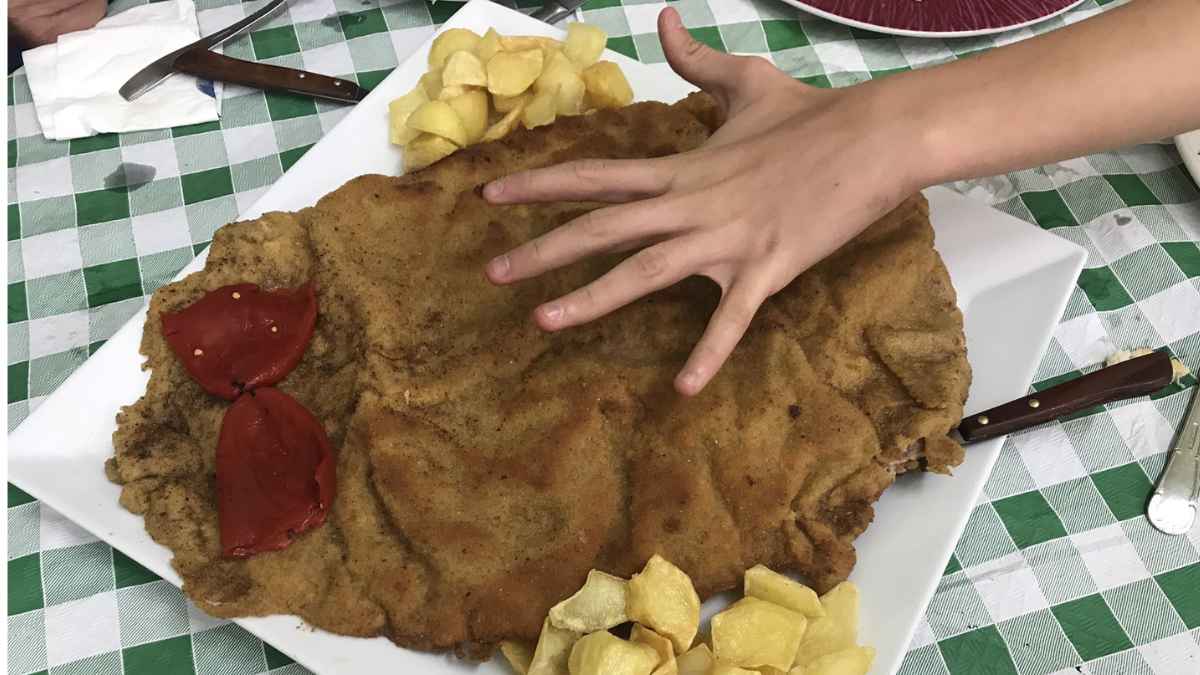 Despido trabajador comer cachopos pollo empresa avícola TSJ Aragón