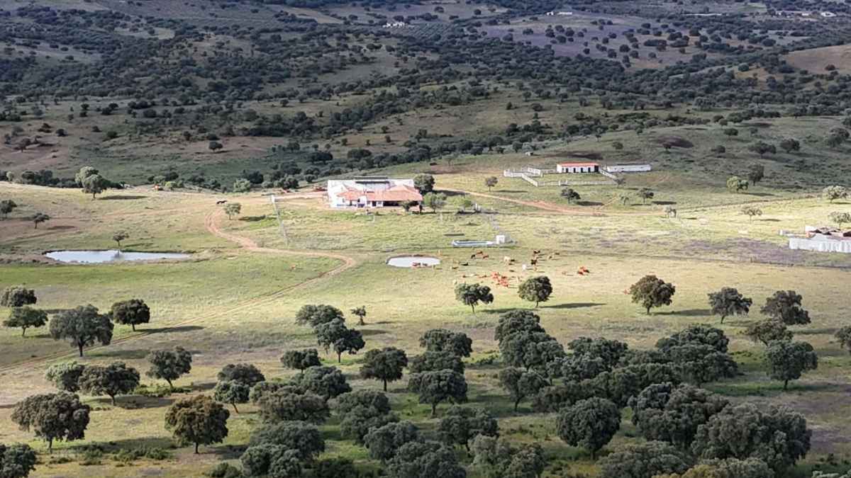 Finca rural en Almodóvar del Campo donde se ofrece empleo como guarda con alojamiento incluido