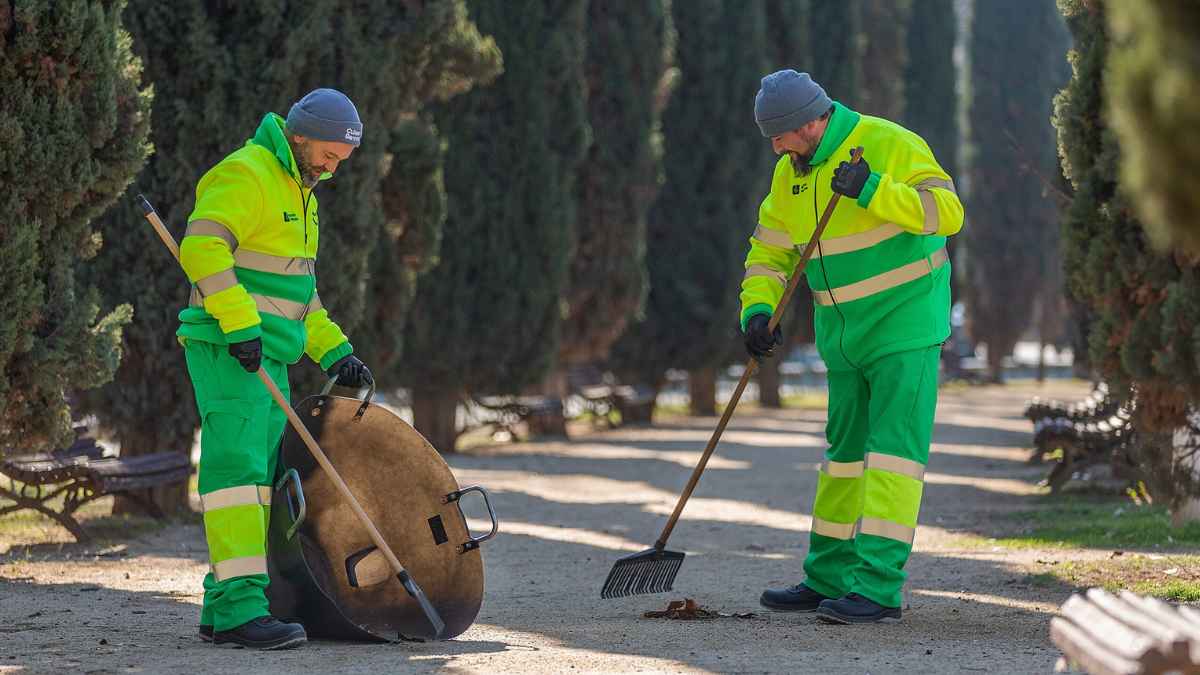 Operarios de limpieza urbana de Urbaser en paseo arbolado recogiendo hojas con rastrillo y contenedor