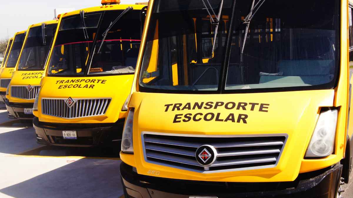Autobuses de transporte escolar para alumnos de FP de grado medio