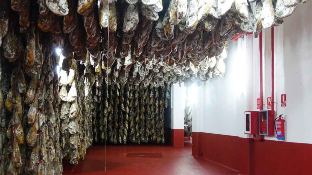 Sala de secado de jamones en la fábrica de Cárnicas Joselito en Guijuelo.