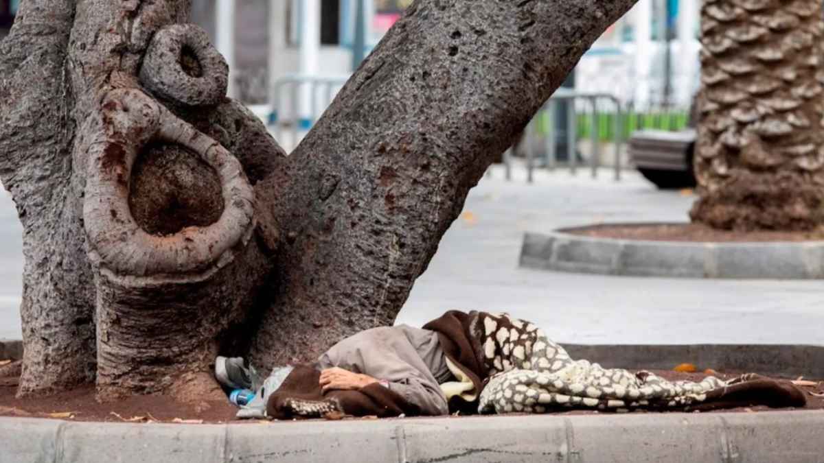 Persona sin hogar durmiendo en la calle cubierta con mantas junto a un árbol.