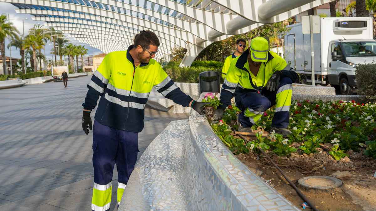 Jardineros municipales trabajando en zonas verdes de Torrevieja