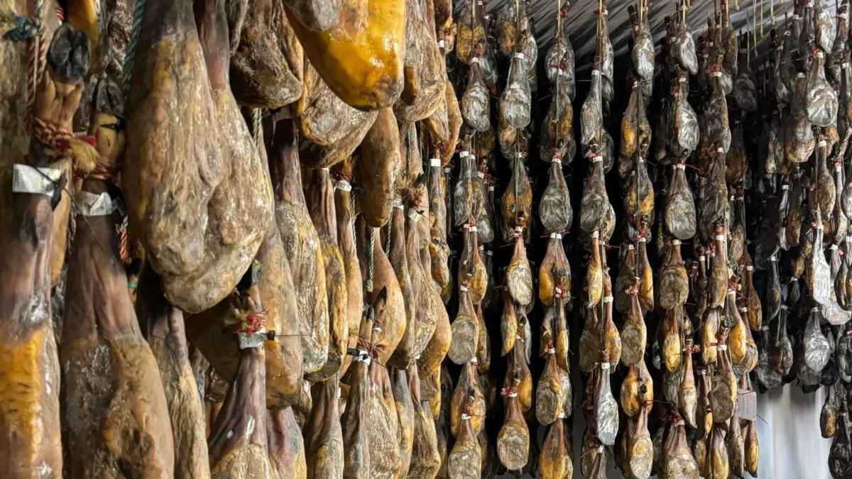 Jamones curándose en una fábrica cárnica de Guijuelo, Salamanca, referente del sector cárnico español.
