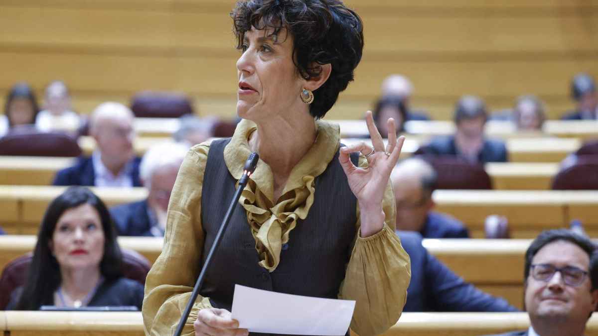 Intervención en el Senado durante el debate sobre la ayuda vital de la Seguridad Social