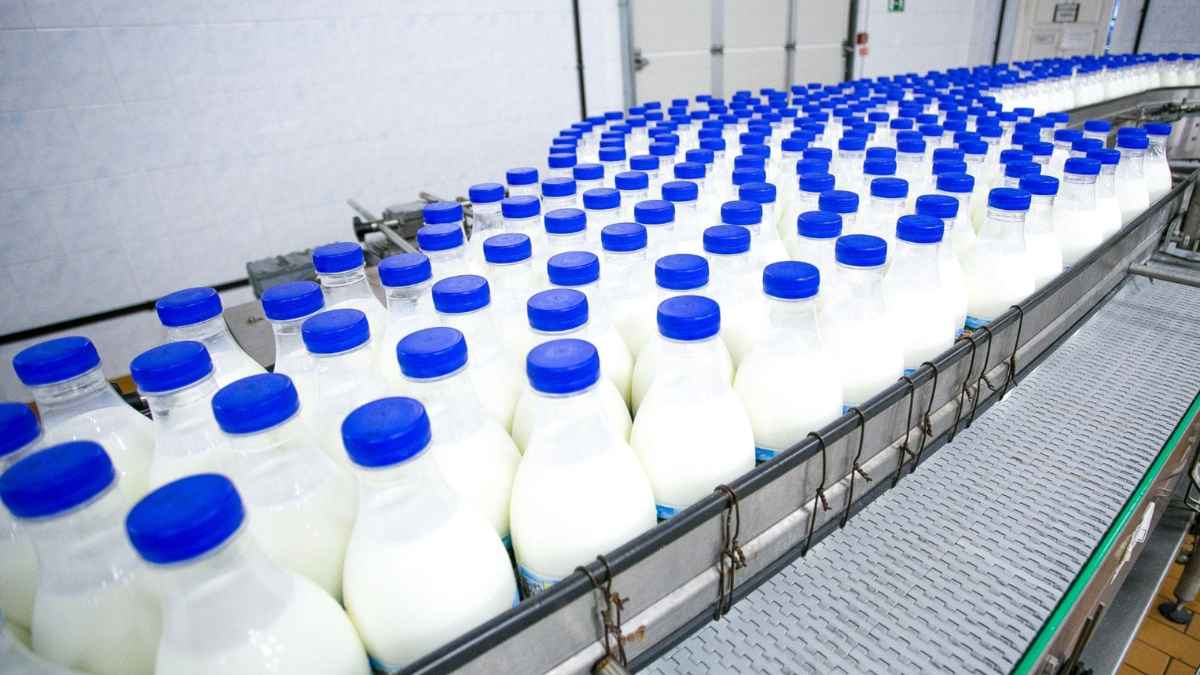 Línea de producción de una empresa láctea con botellas de leche envasadas en Benavente