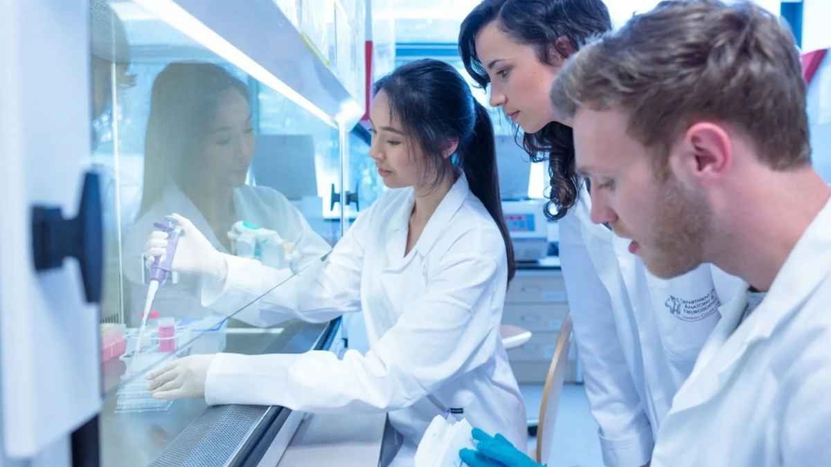 Estudiantes realizando prácticas formativas tras los cambios del Estatuto del Becario