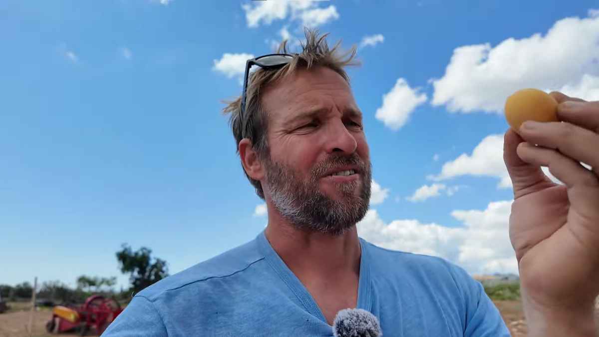 Agricultor en España mostrando un níspero de su huerto mientras explica cuánto se gana trabajando la tierra