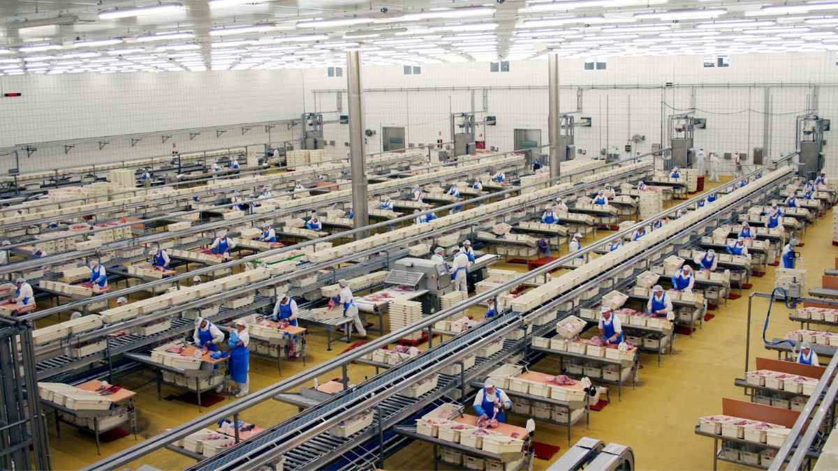 Trabajadores en línea de producción alimentaria en fábrica de Venta de Baños