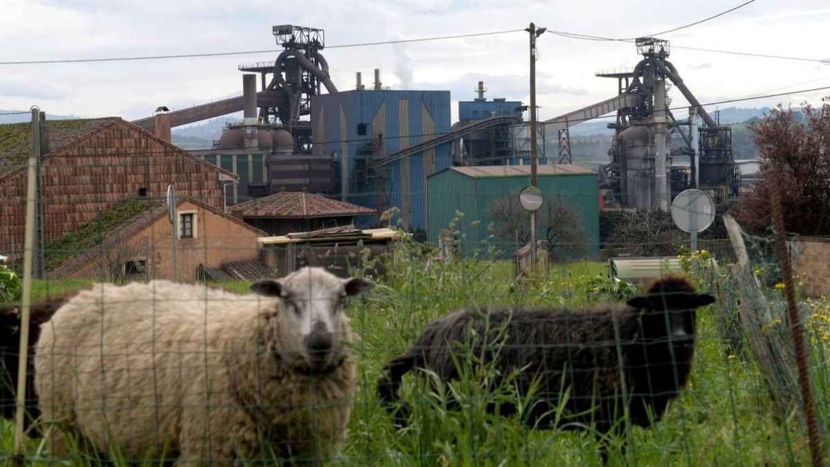 Planta siderúrgica de ArcelorMittal en Asturias mientras la empresa estudia trasladar 5.600 empleos a la India