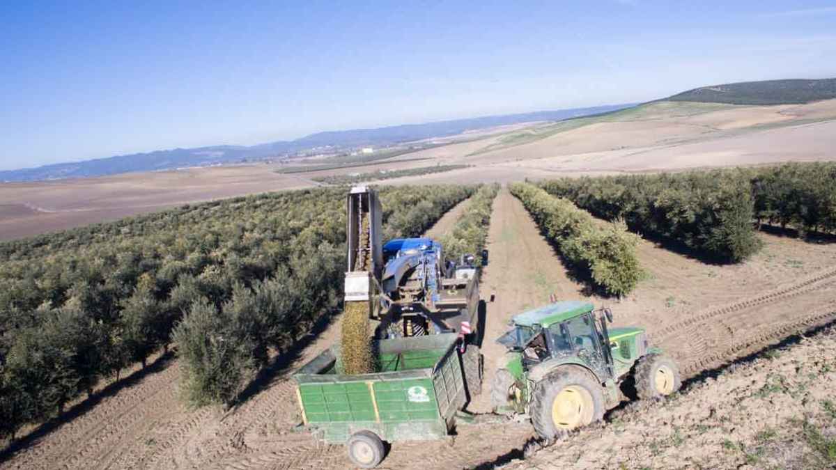 Maquinaria agrícola trabajando en una explotación del campo andaluz gracias a las nuevas ayudas de la Junta en 2026