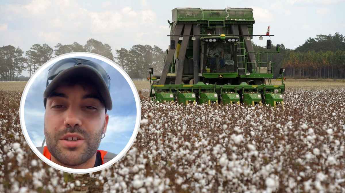 Mario, español en Australia, durante la temporada del algodón donde asegura que paga un mes de alquiler con 4 horas de trabajo
