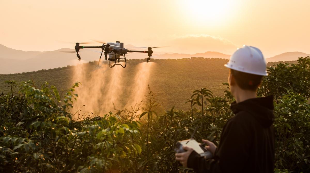 Dron agrícola aplicando fitosanitarios sobre cultivo con piloto controlando desde tierra en campo
