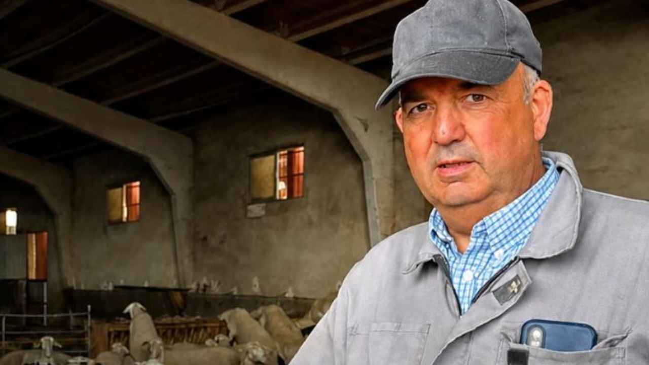 Jesús Sola junto a un rebaño de ovejas en un monte de Tortuera